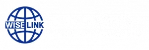 智通科創 Wiselink logo